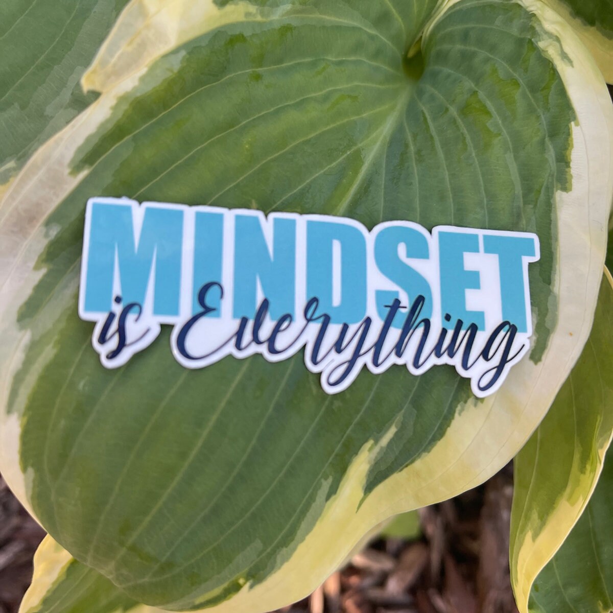 Mindset is Everything Sticker - Waterproof | | Positive Sticker | Motivational Sticker