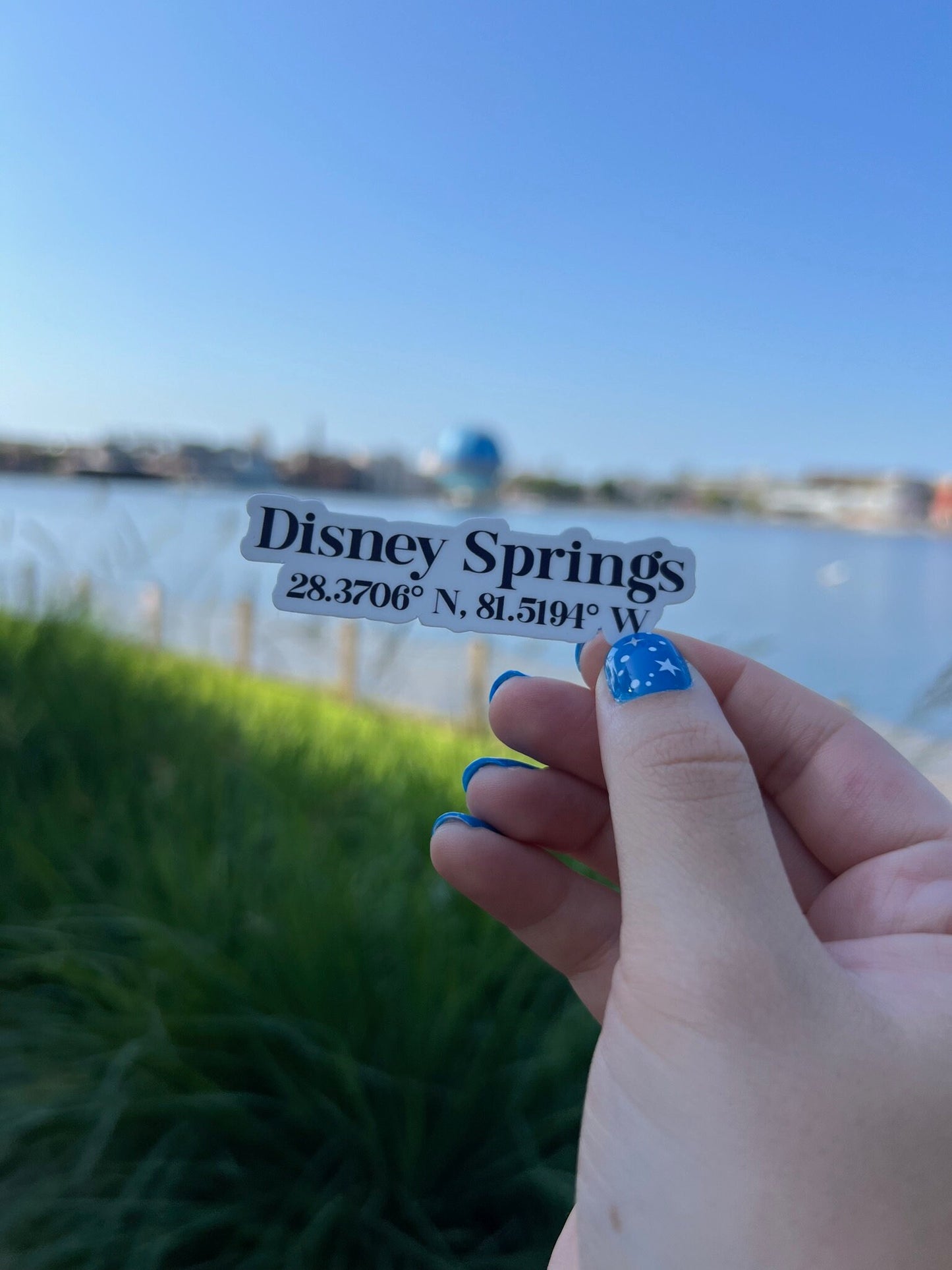 Walt Disney World Coordinate Bundle Stickers