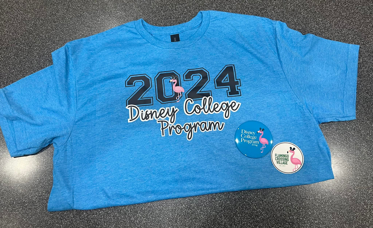 Disney College Program Bundle 2024