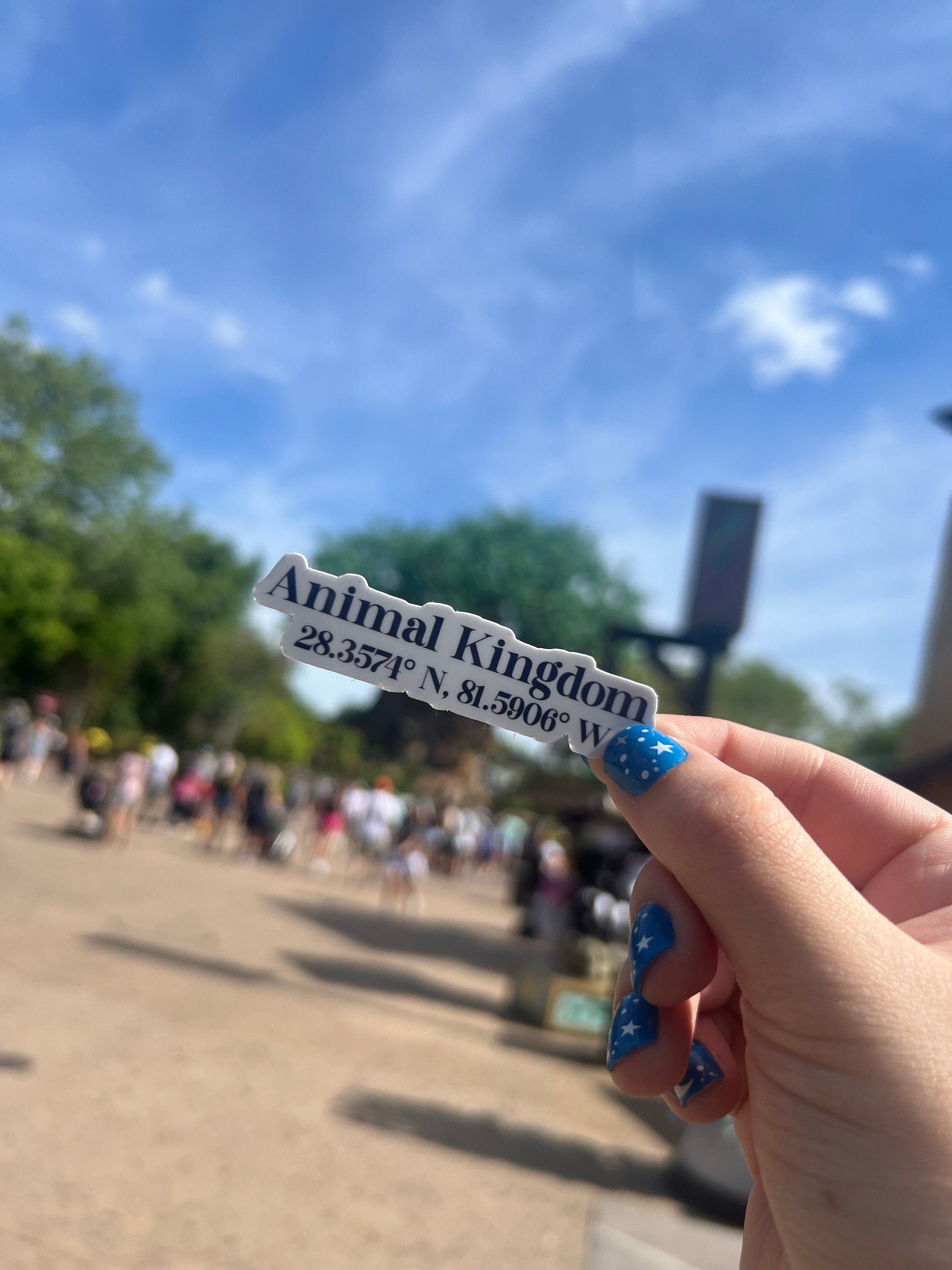 Walt Disney World Coordinate Bundle Stickers