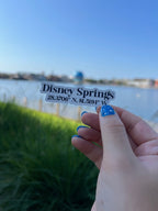 Walt Disney World Coordinate Bundle Stickers