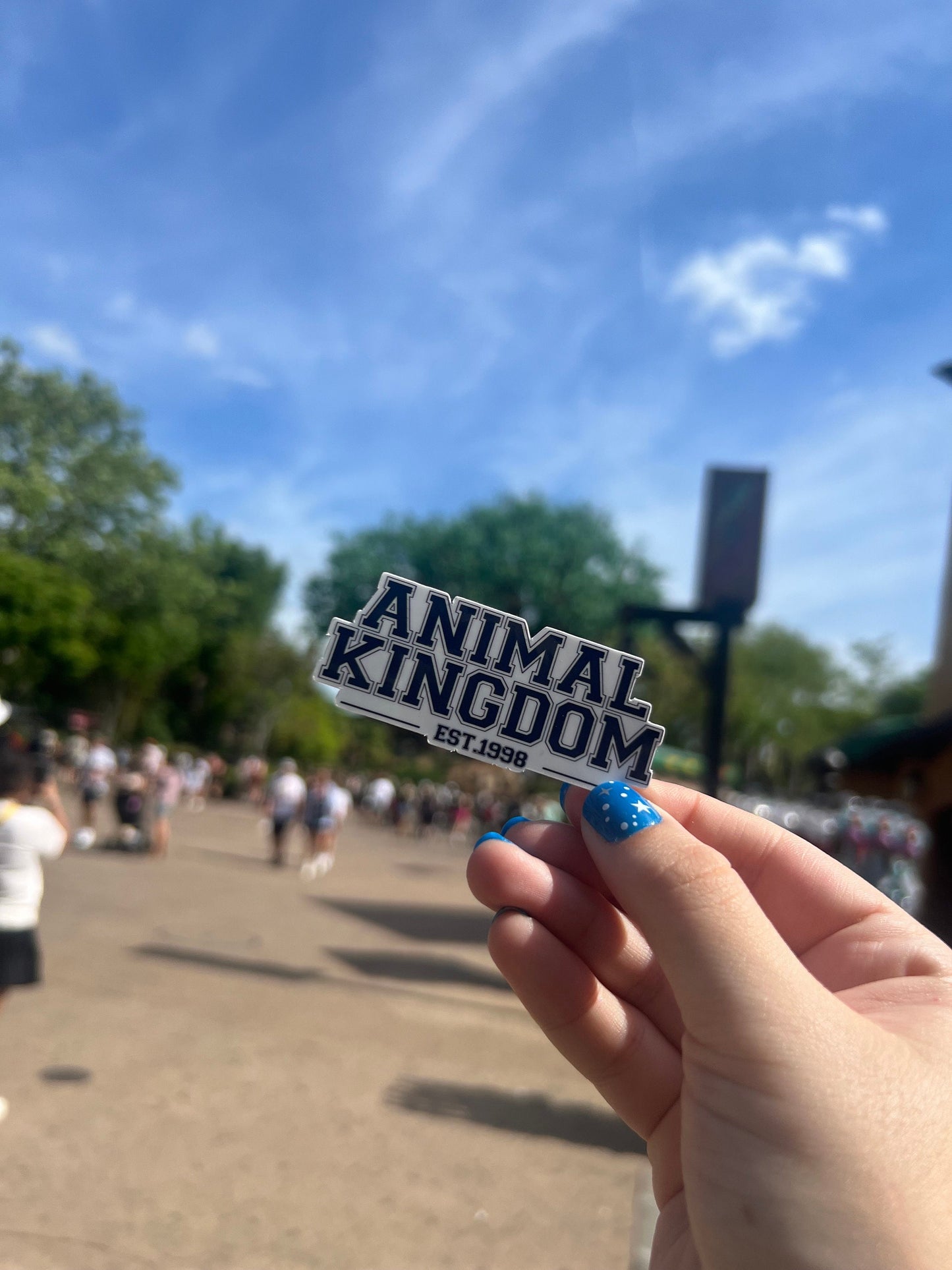 Disney Park Year Collection - Animal Kingdom Sticker