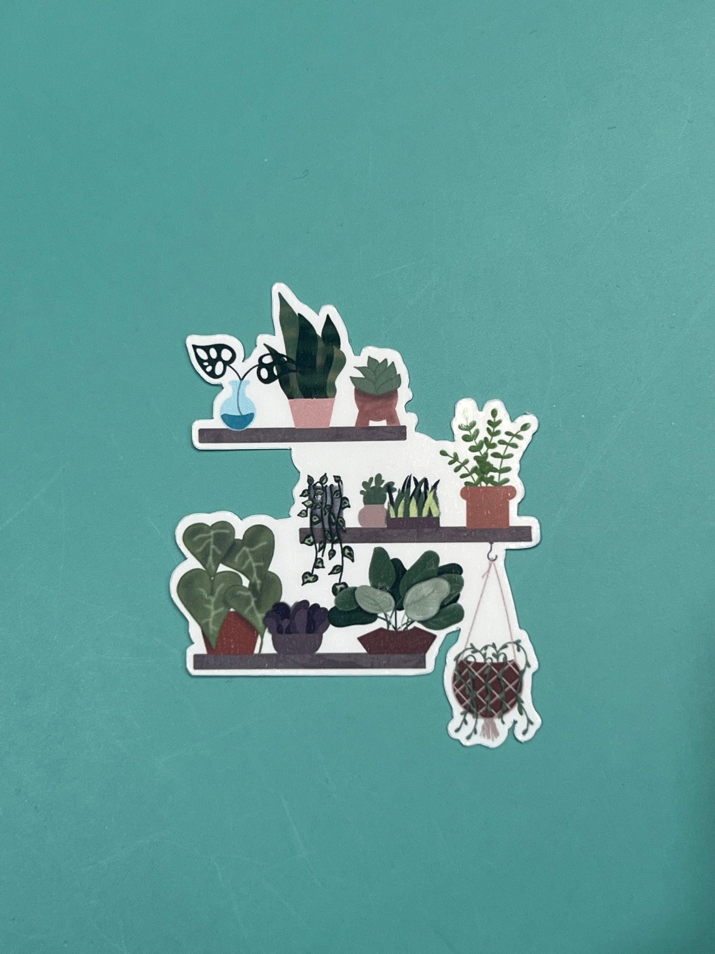 Plant Shelf Sticker