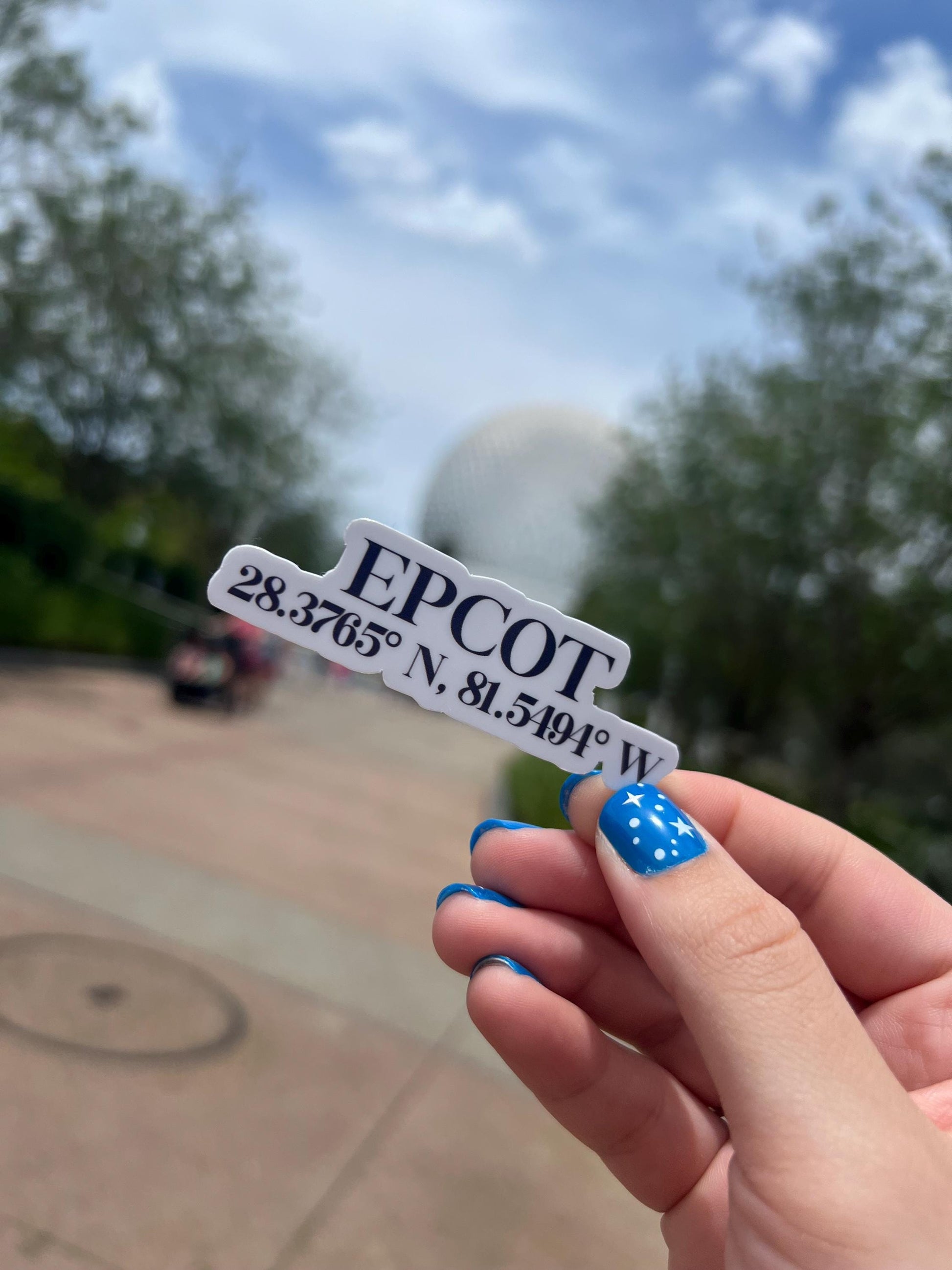 Walt Disney World Coordinate Bundle Stickers