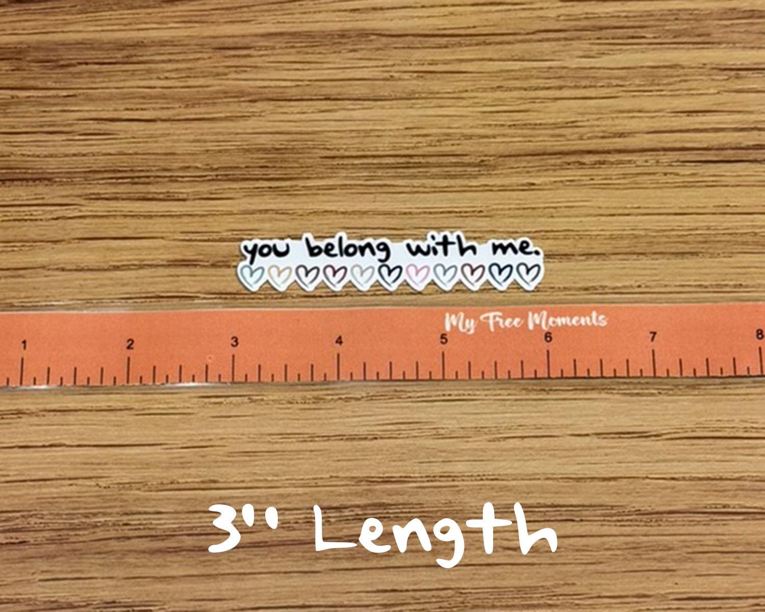 You Belong With Me. Taylor Swift Inspired - Waterproof Sticker