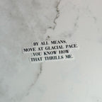 By All Means Move at A Glacial Pace - Waterproof Sticker