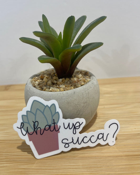 What up Succa? Sticker | Succulent Sticker | Plant Sticker | Plant Gift